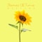 Yellow Fields | Bright Touching Royalty Free Music
