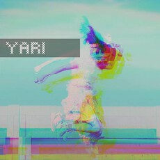 Yari Hitting Motion